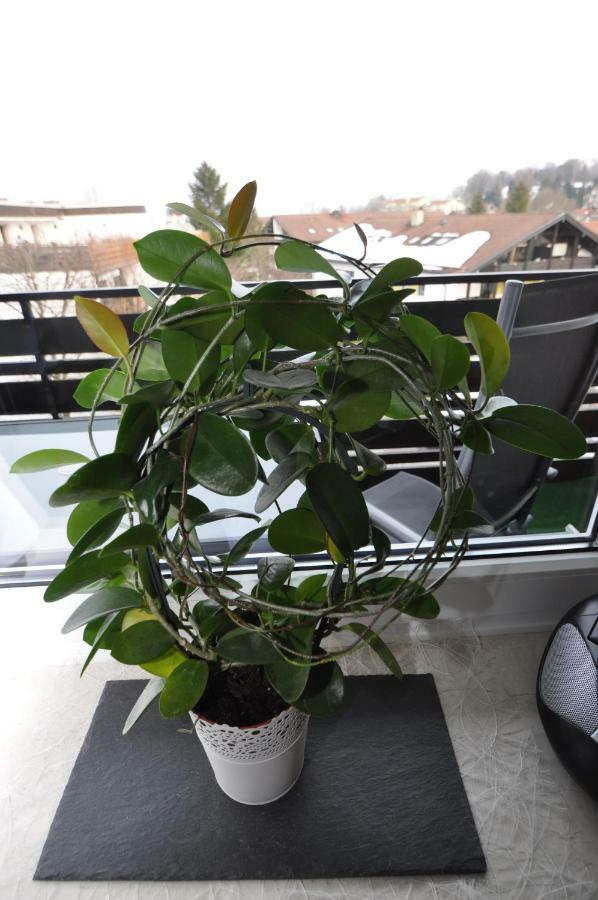 Ferienwohnung-In-Prien Exteriör bild
